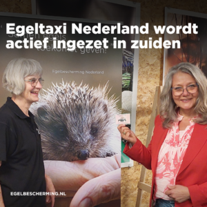 Egeltaxi Nederland actief ingezet in het zuiden van Nederland