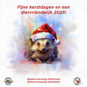 Kerstgroet 2024